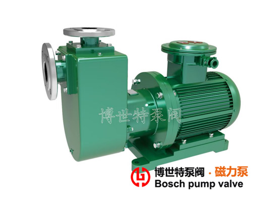 ZCQ系列不銹鋼自吸磁力泵